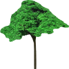 tree19.png