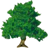 tree1t.png