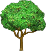 tree4t.png